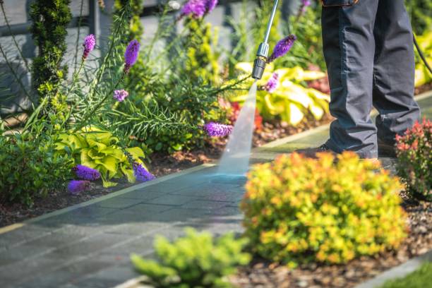 Best Gutter Cleaning  in Edinboro, PA