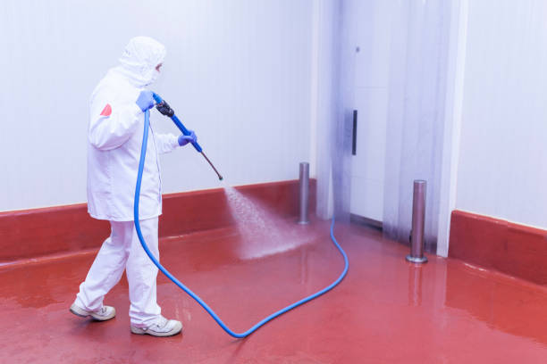 Best Pre-Holiday Cleaning  in Edinboro, PA
